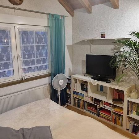 Gemuetliche Dachgeschosswohnung Érfurt Exterior foto