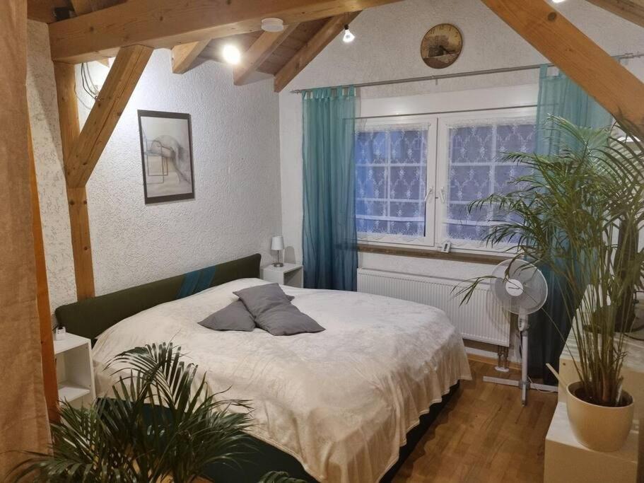 Gemuetliche Dachgeschosswohnung Érfurt Exterior foto