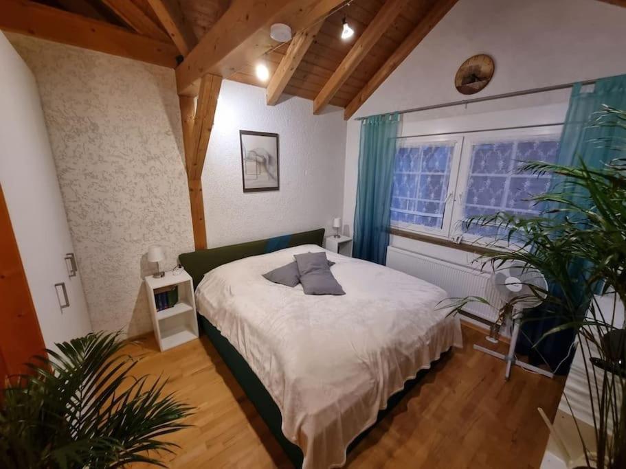Gemuetliche Dachgeschosswohnung Érfurt Exterior foto